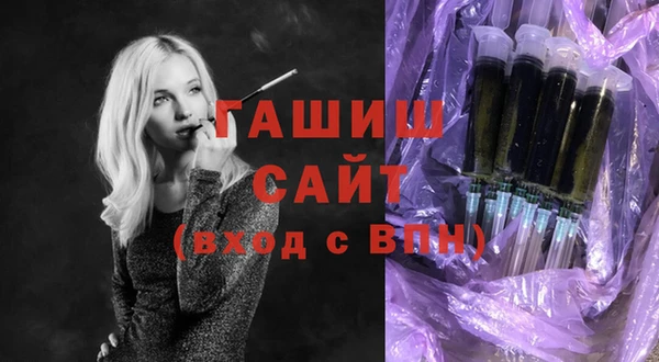 прущие грибы Новозыбков