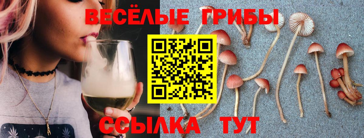 Псилоцибиновые грибы ЛСД Новоалтайск